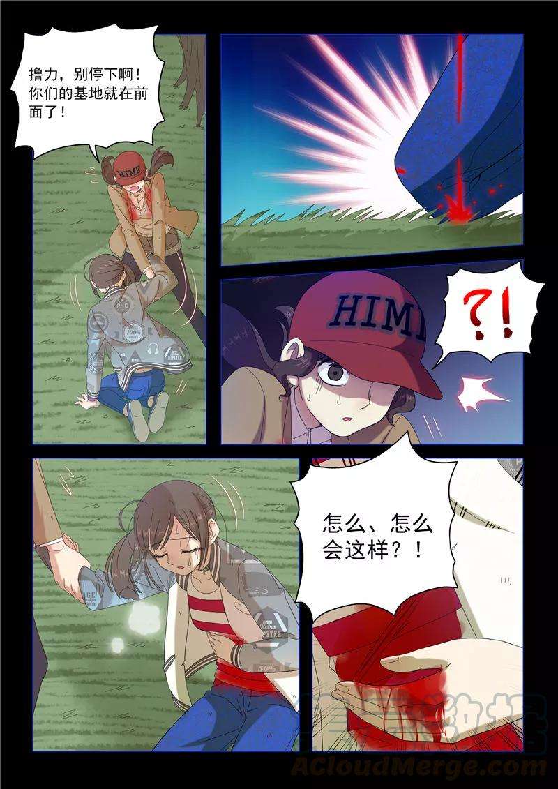 5.jpg