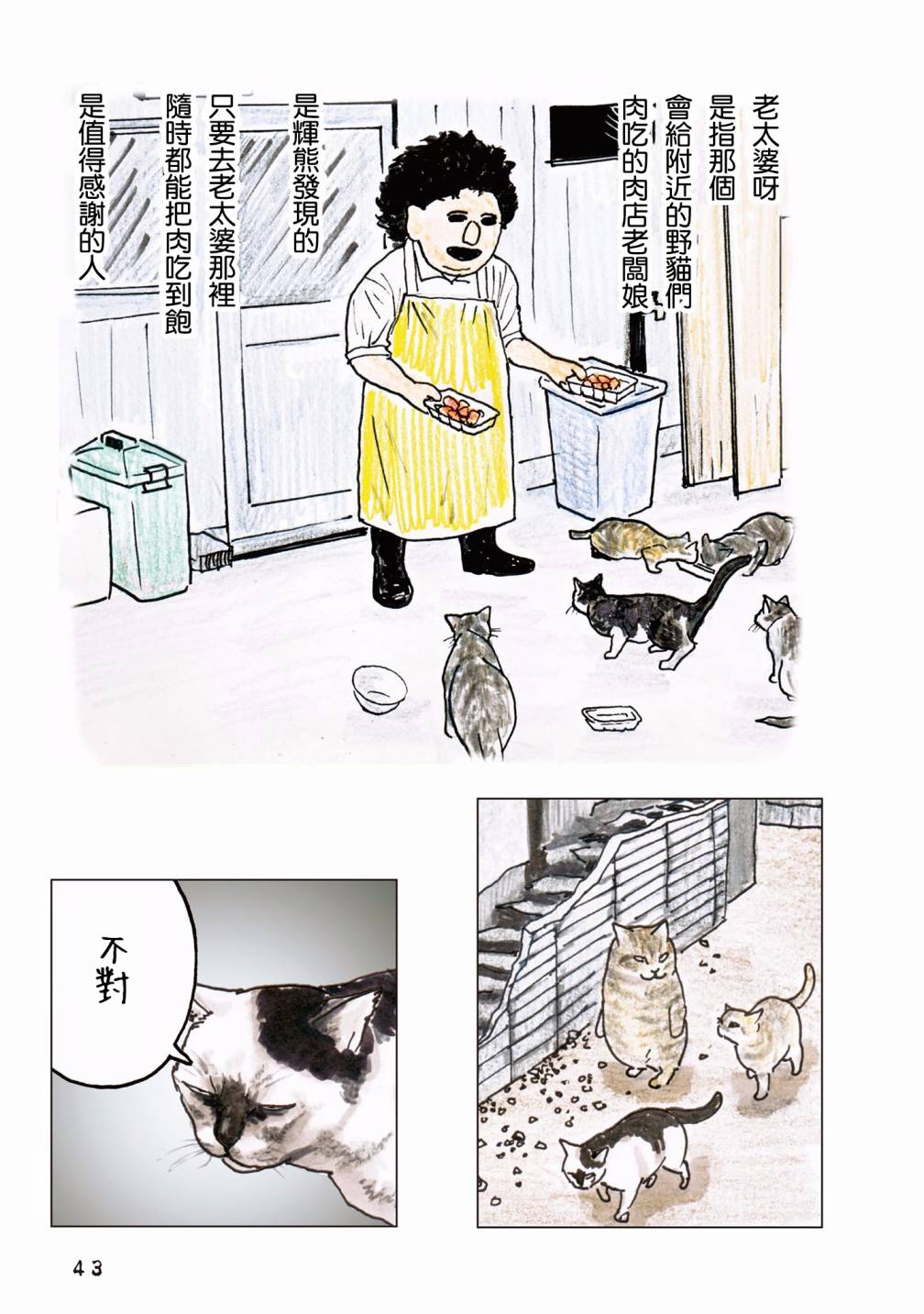15.jpg
