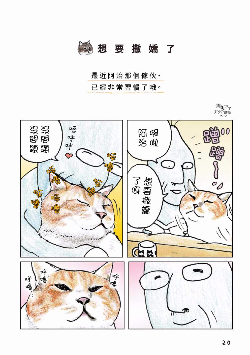 1.jpg