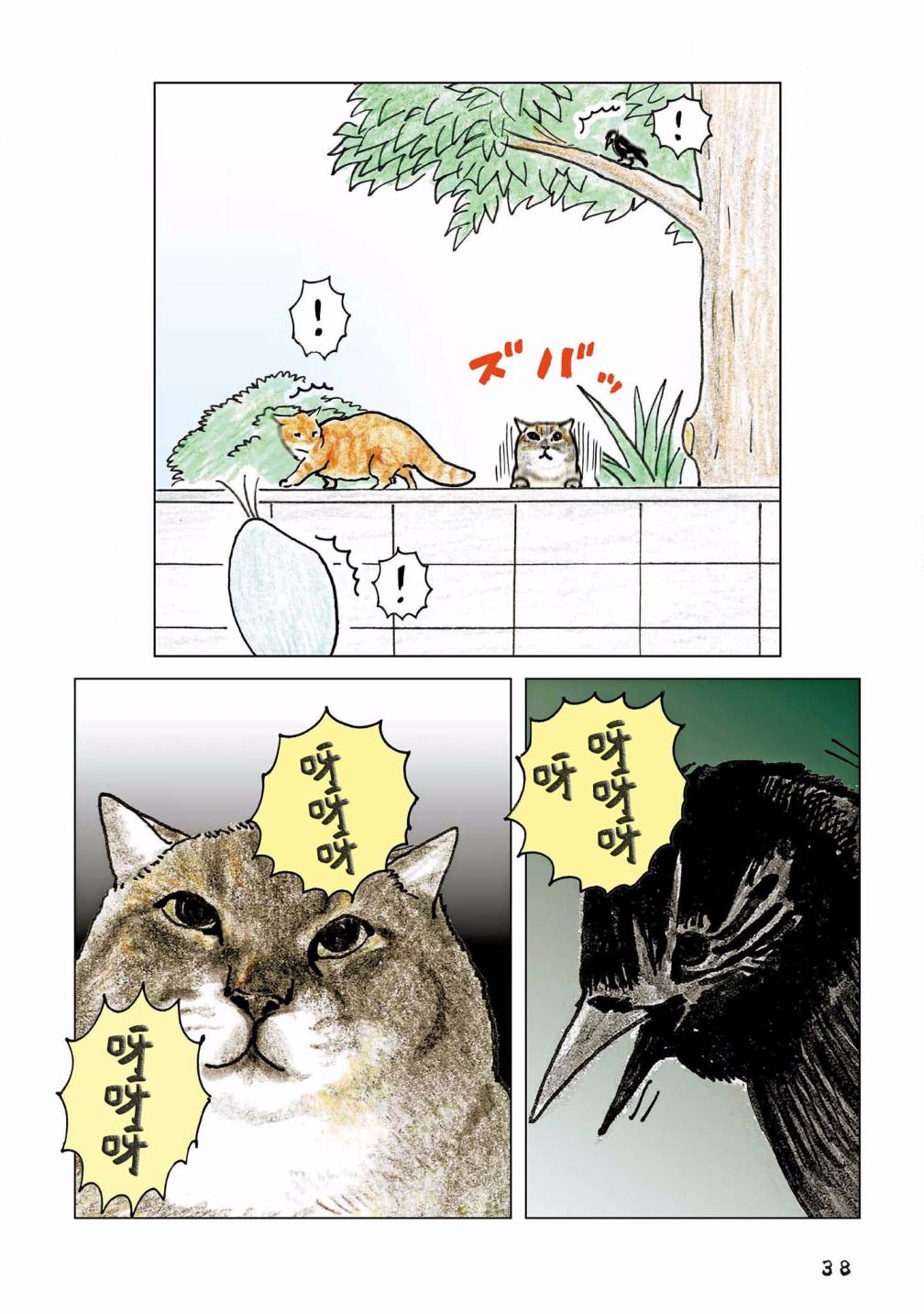 6.jpg