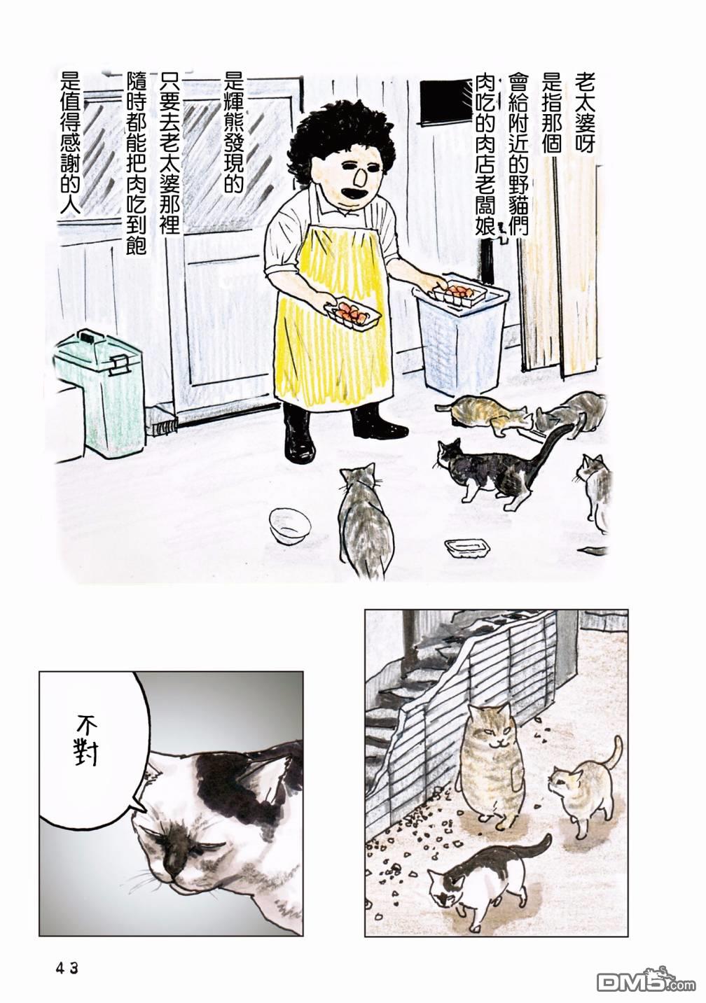 15.jpg