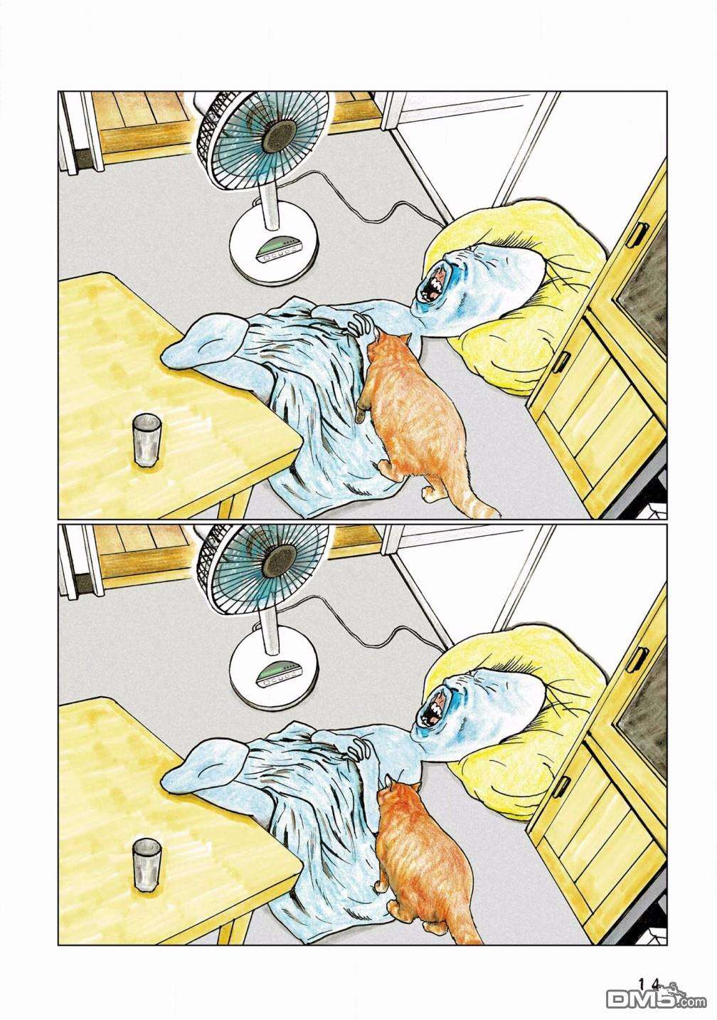 8.jpg