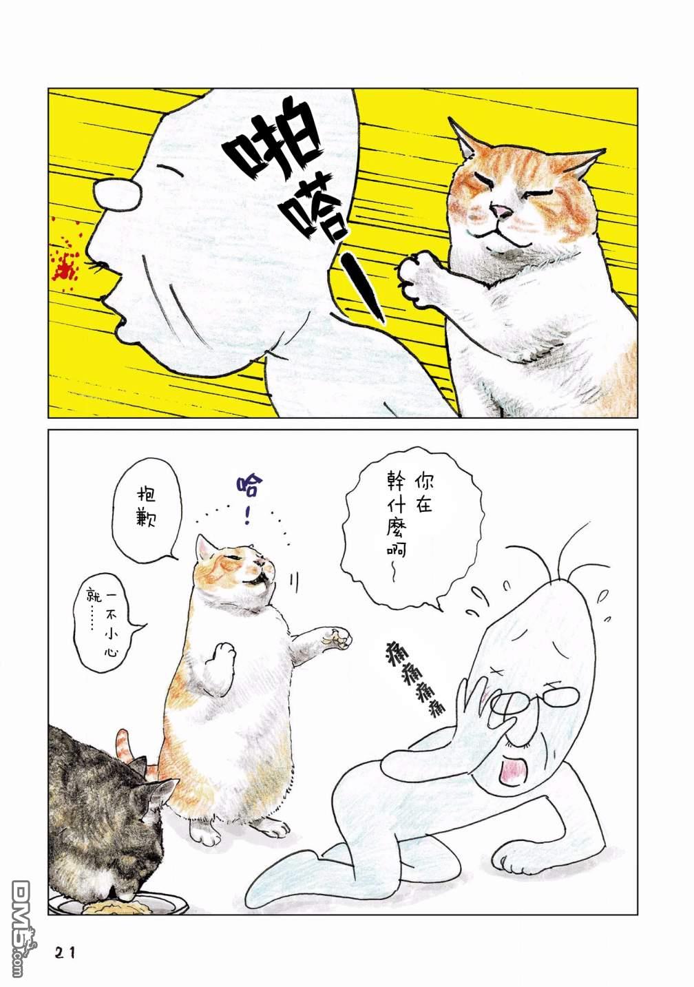 2.jpg