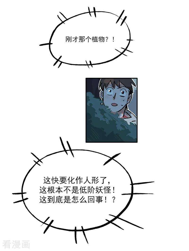 24.jpg