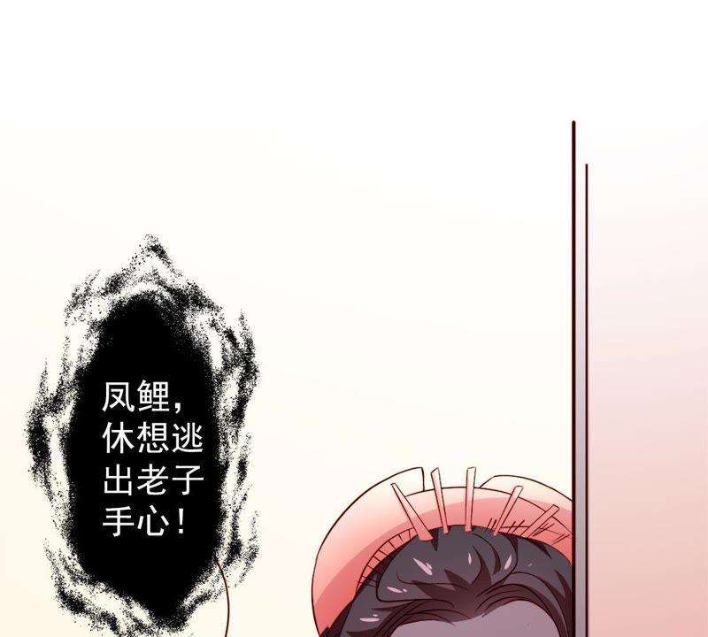 48.jpg