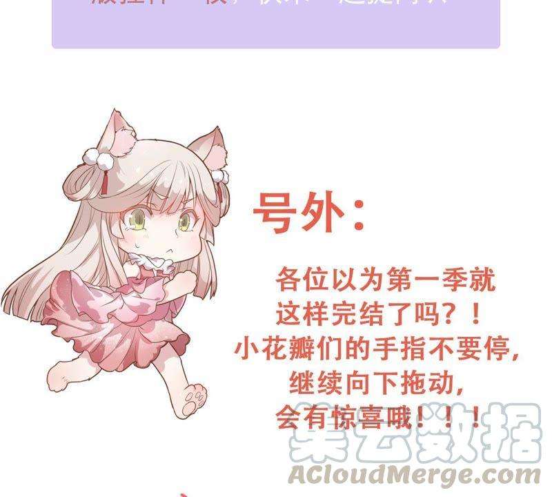 141.jpg