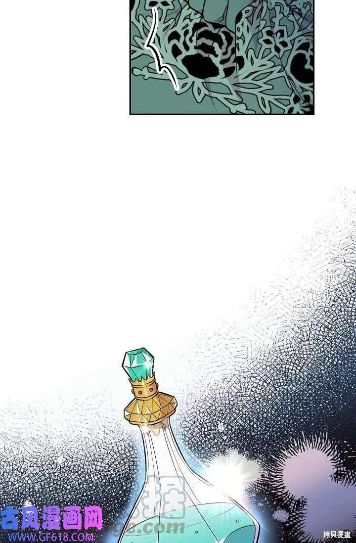 31.jpg