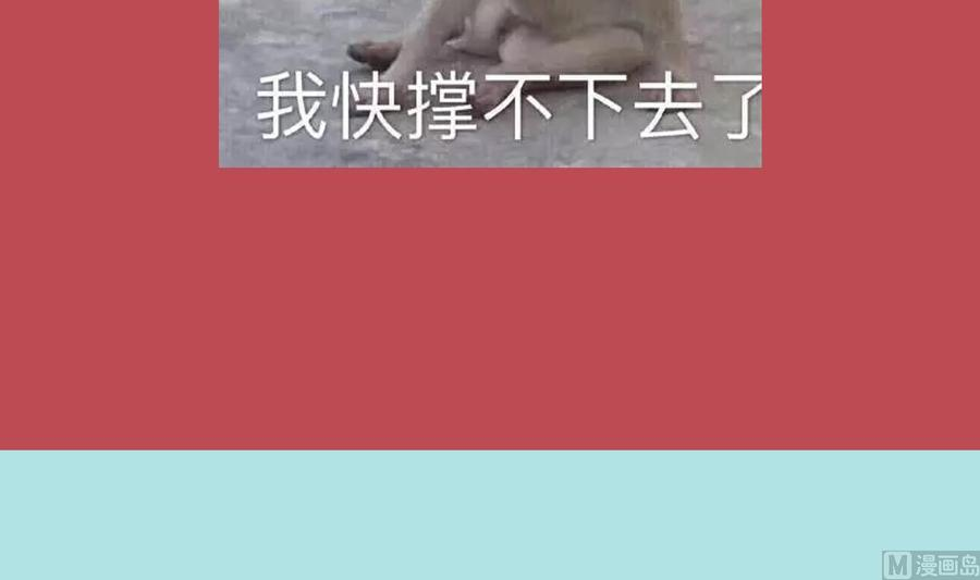 66.jpg