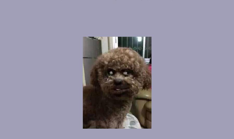 67.jpg