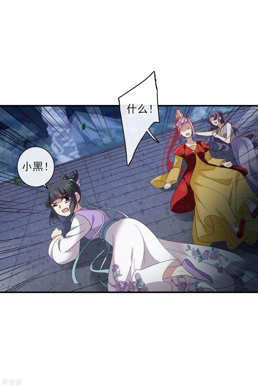 5.jpg