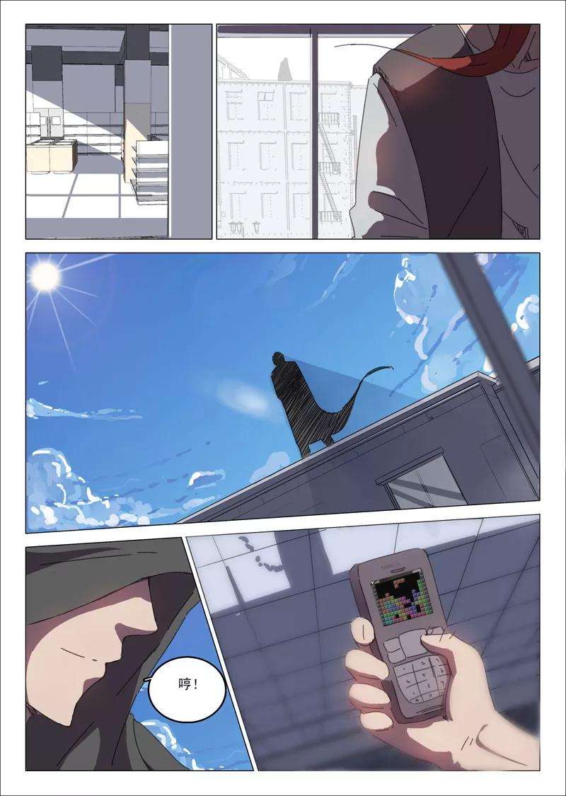 5.jpg