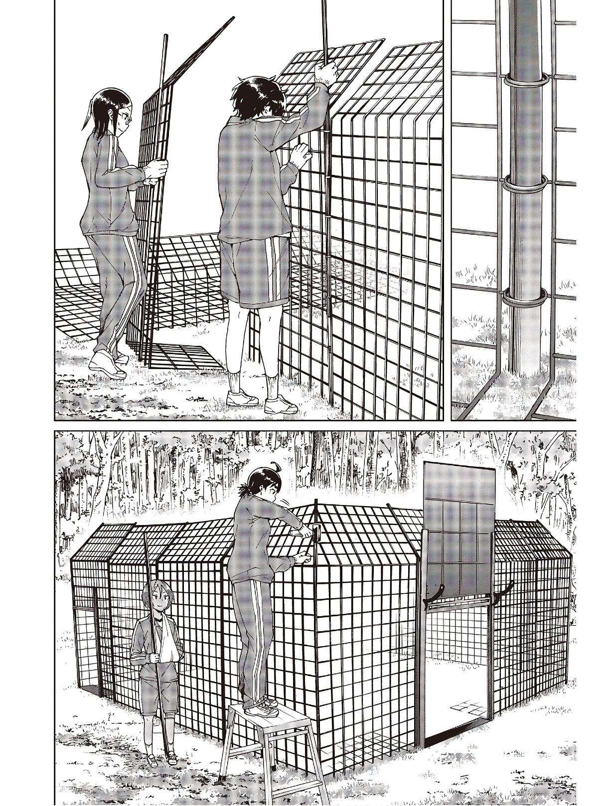 26.jpg