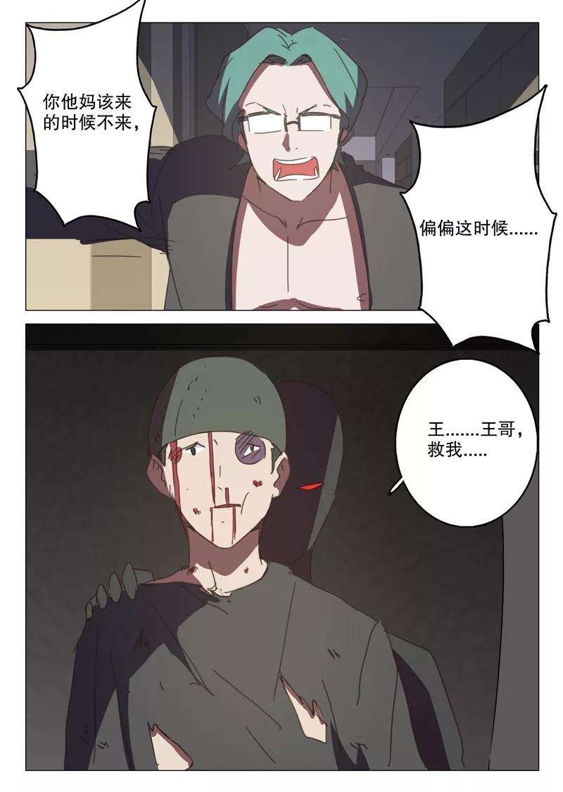 11.jpg