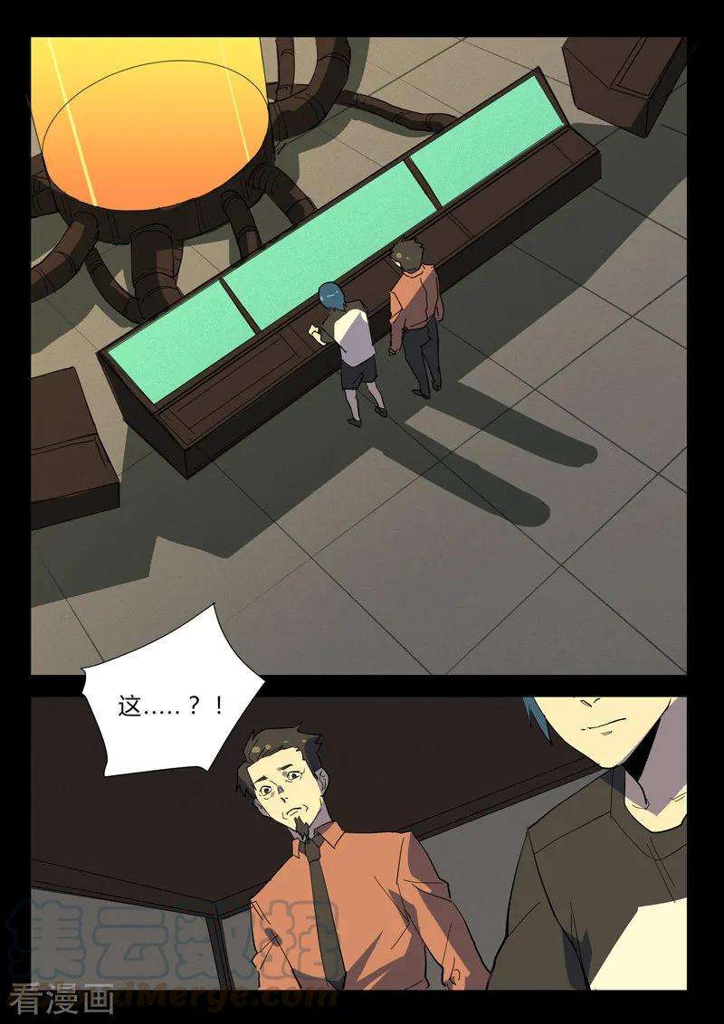 11.jpg