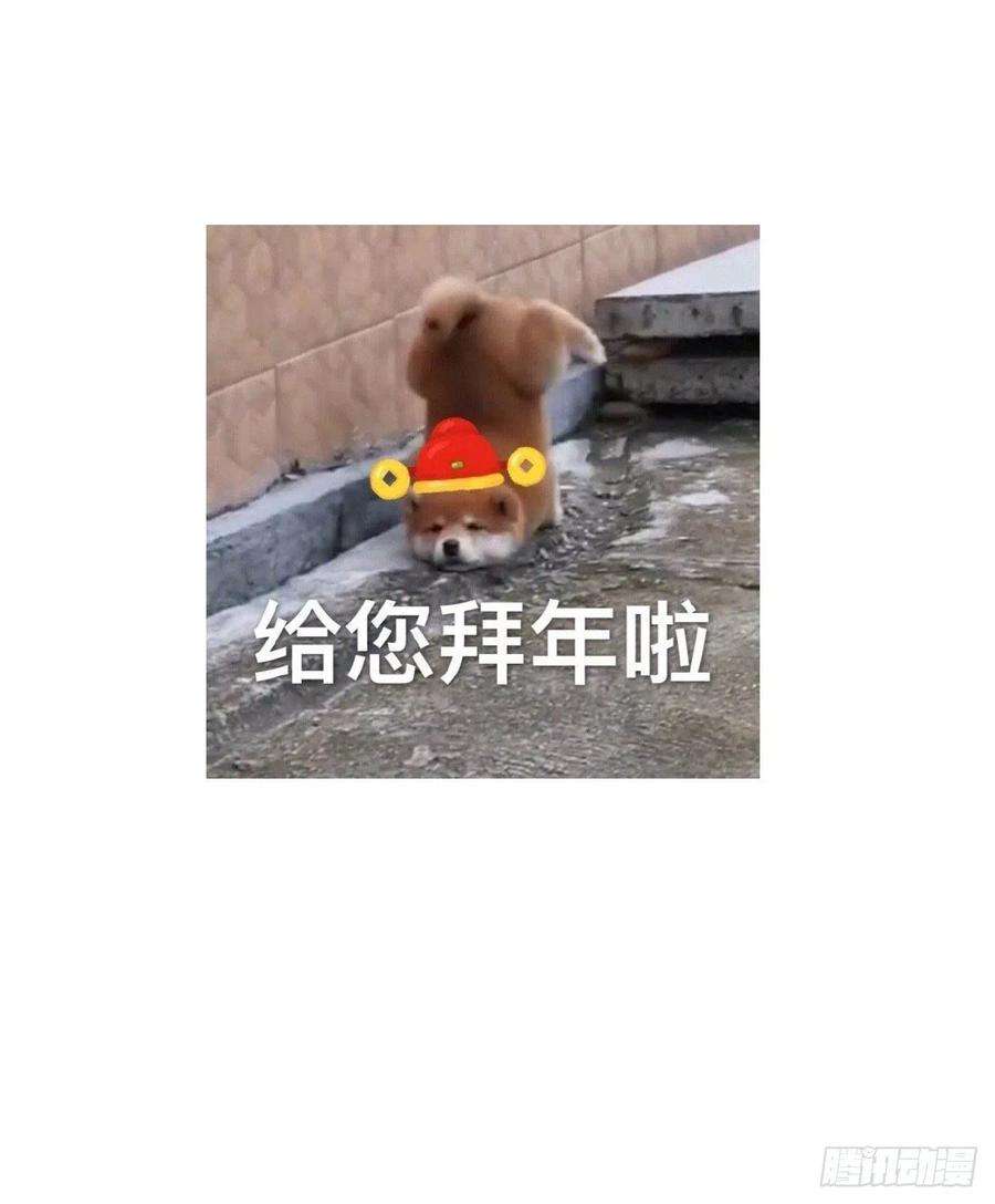 38.jpg