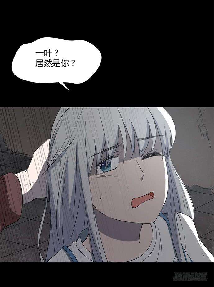 28.jpg