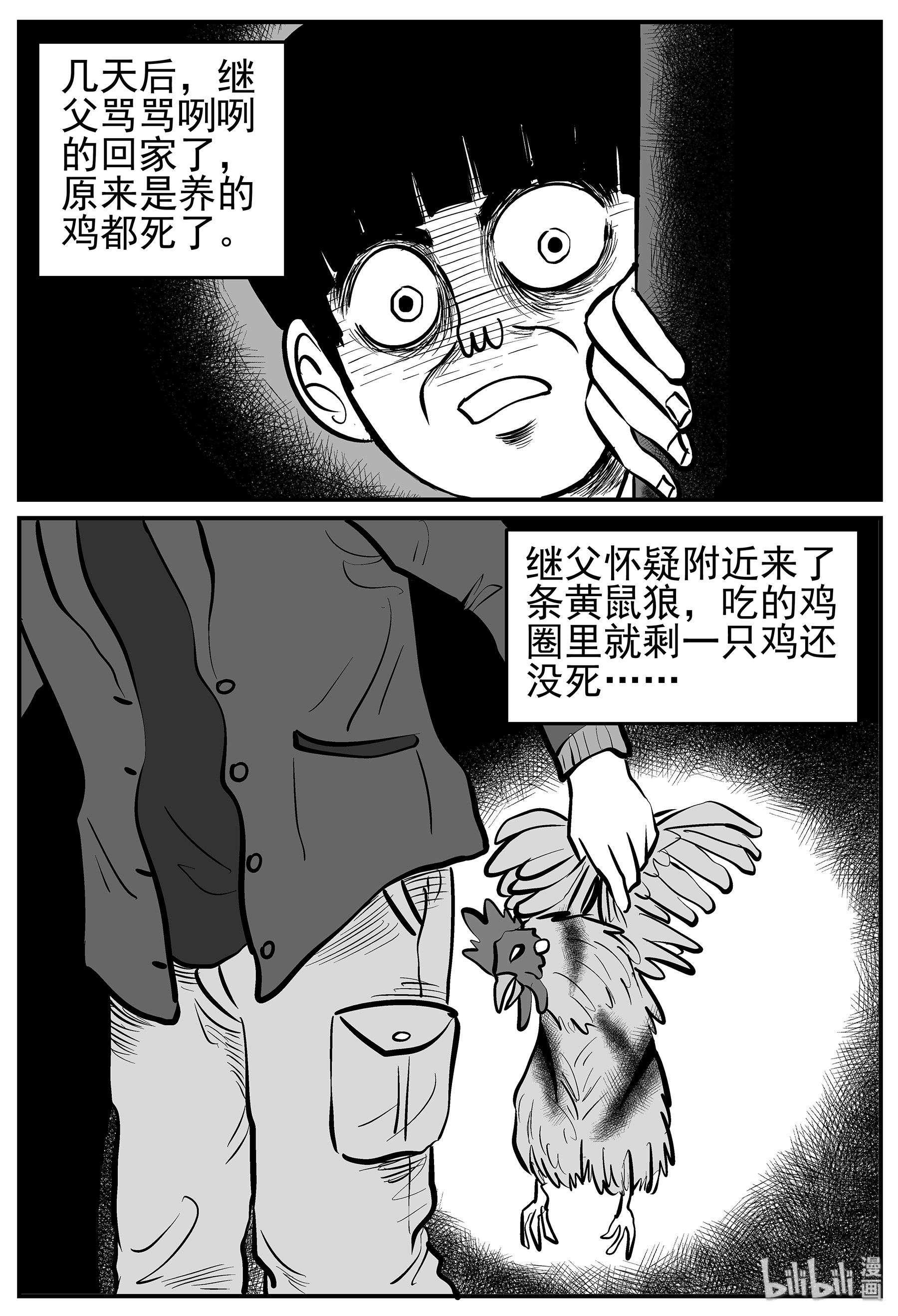 17.jpg