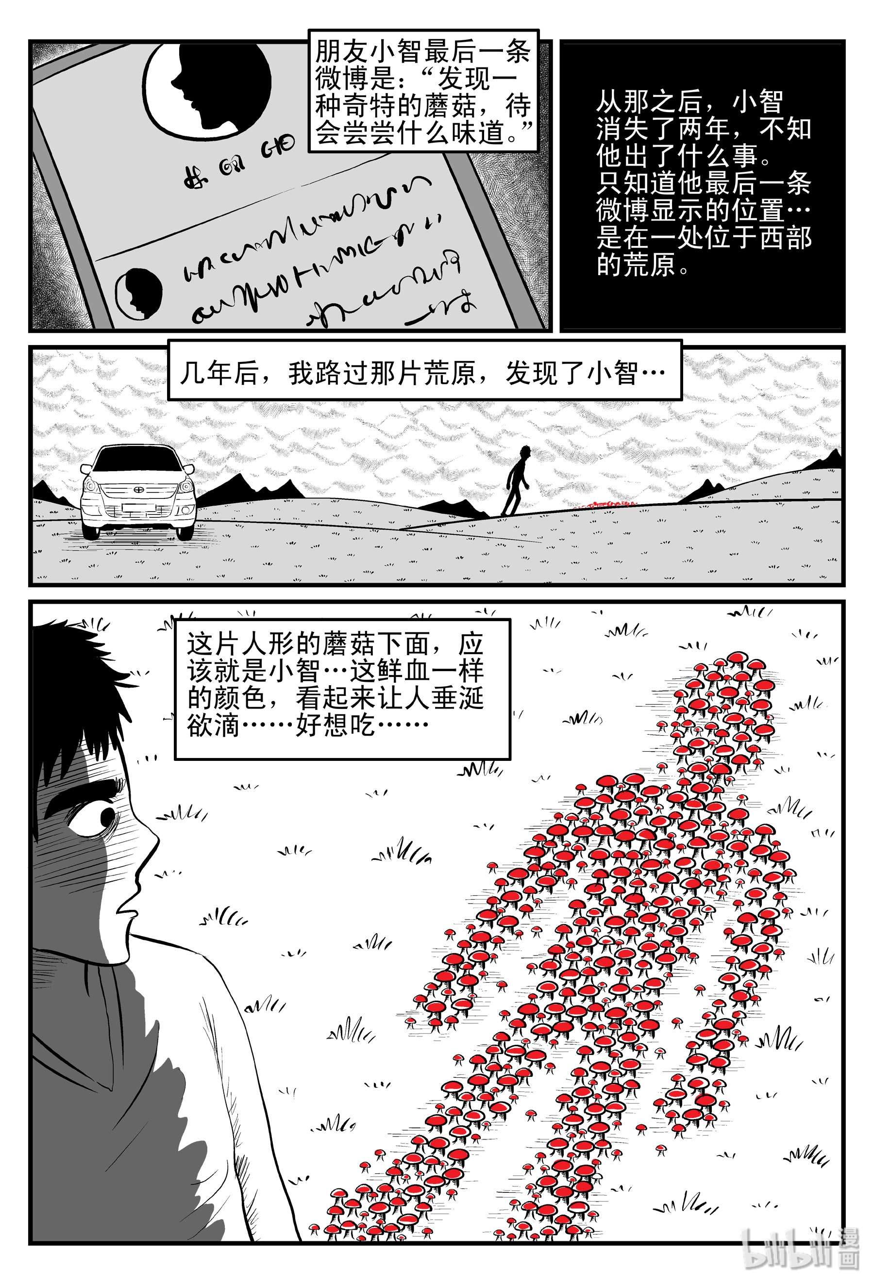 17.jpg