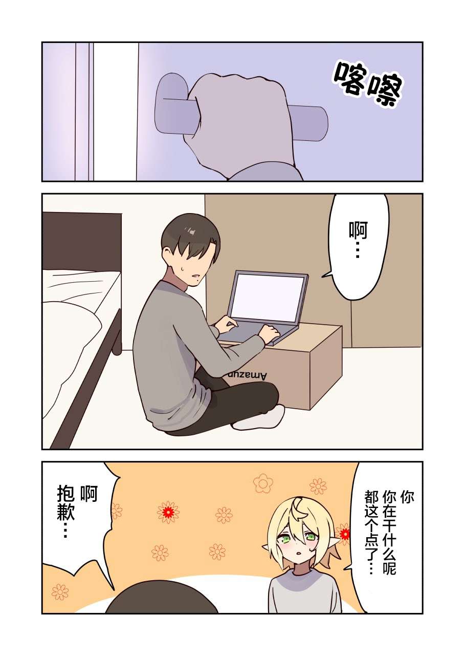 11.jpg