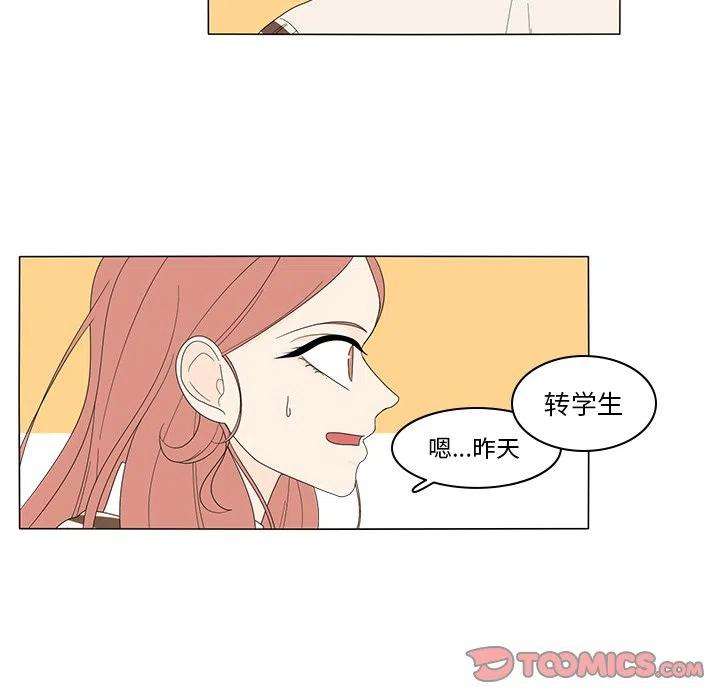 41.jpg