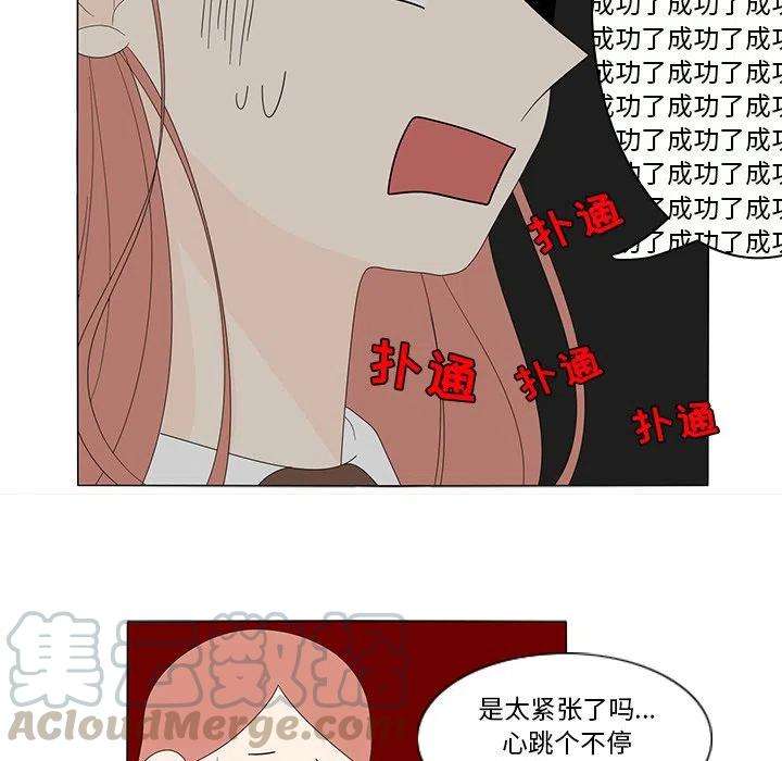43.jpg