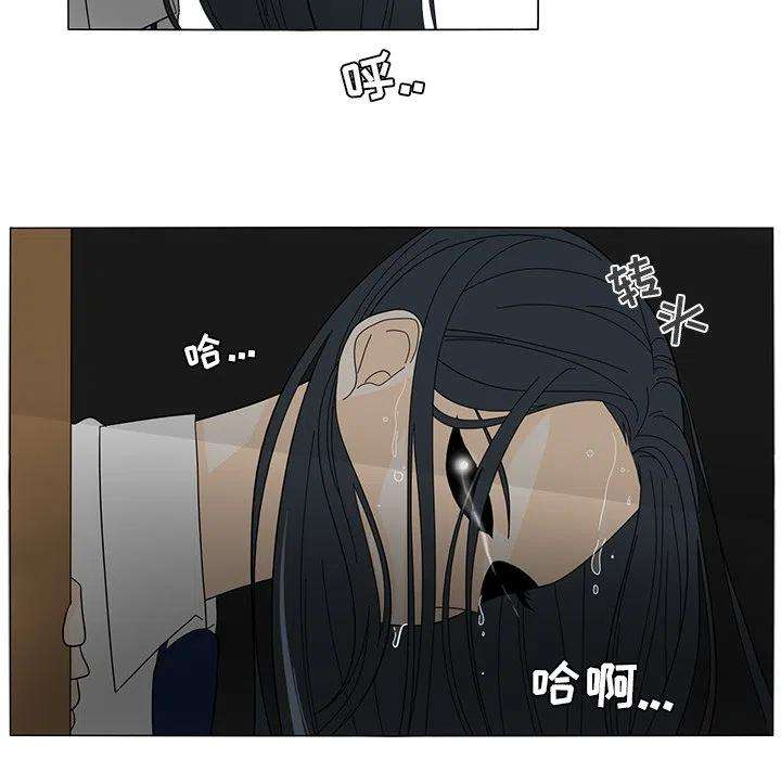 50.jpg