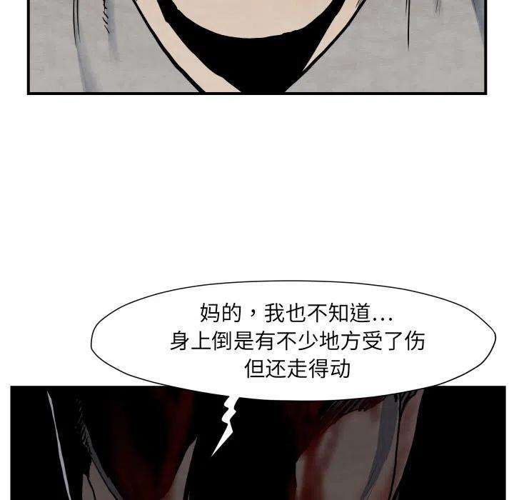 96.jpg