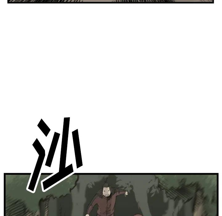 43.jpg