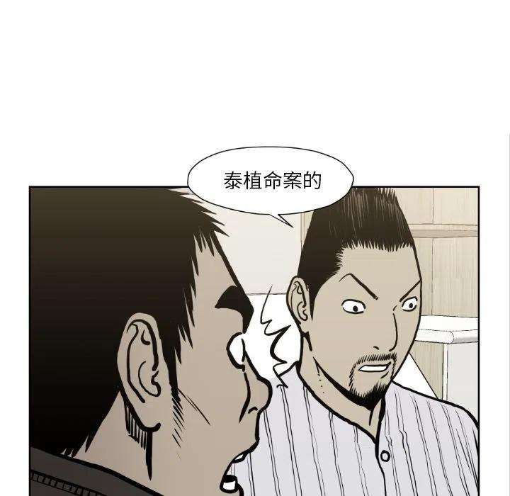 96.jpg