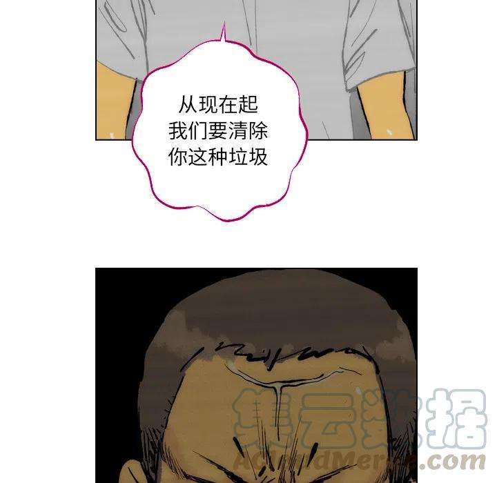 55.jpg