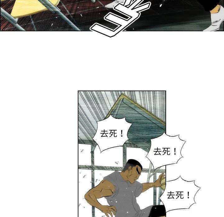 81.jpg