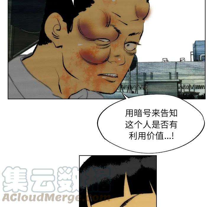 43.jpg