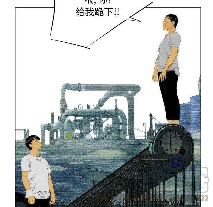 43.jpg