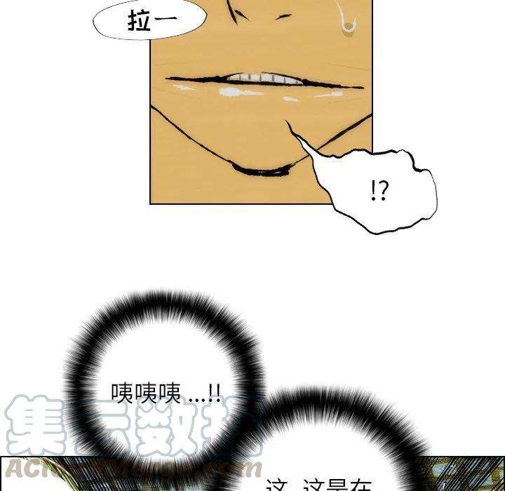 49.jpg