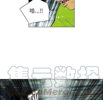 73.jpg