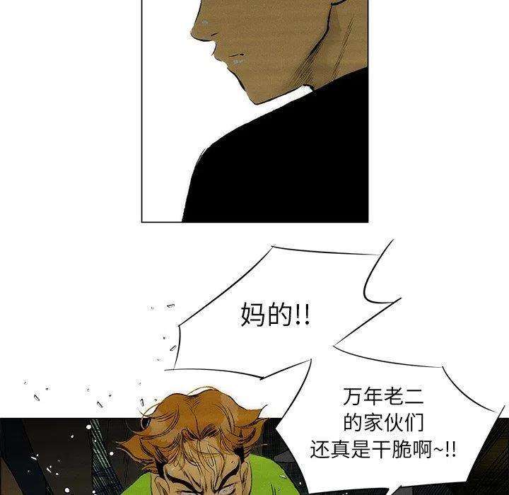 46.jpg