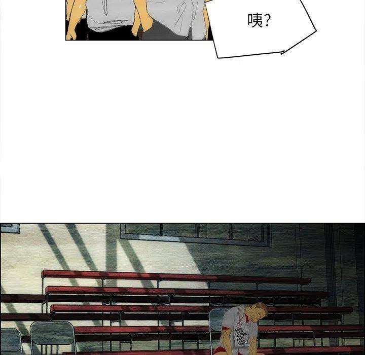 63.jpg