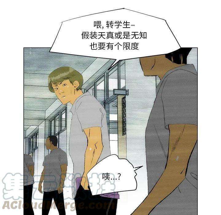 37.jpg