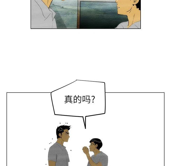 48.jpg