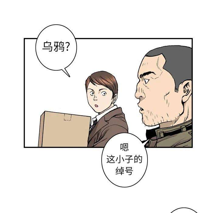 35.jpg