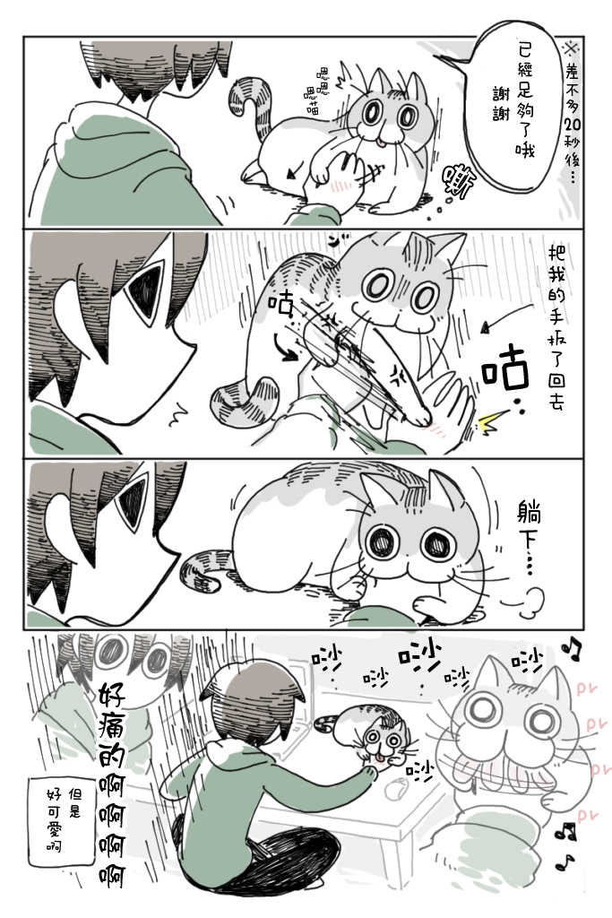 6.jpg