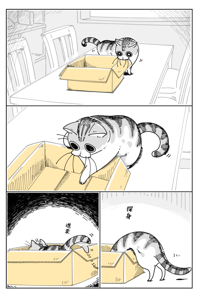 1.jpg
