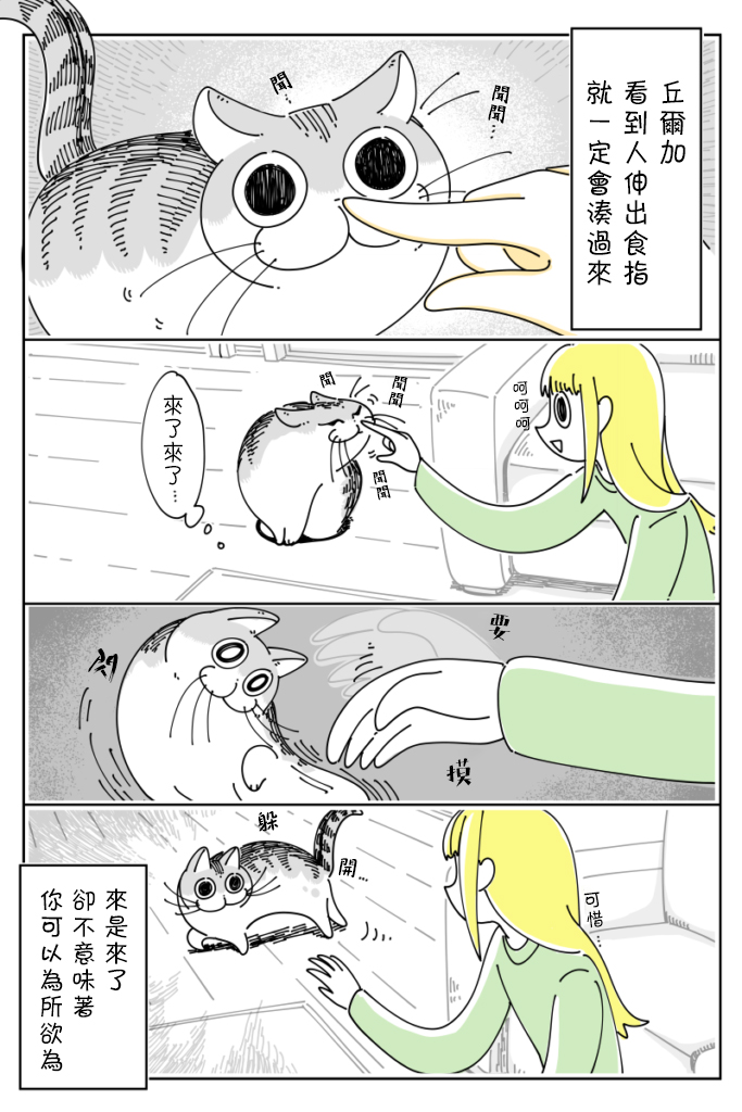 3.jpg