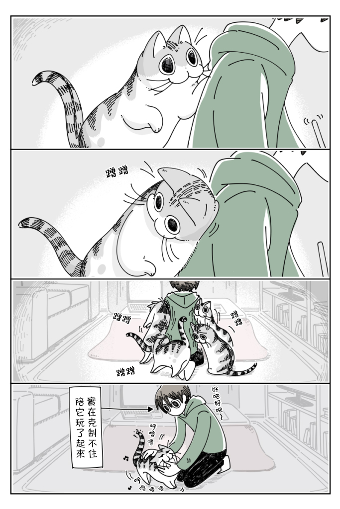 3.jpg