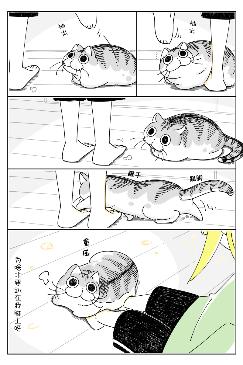 2.jpg
