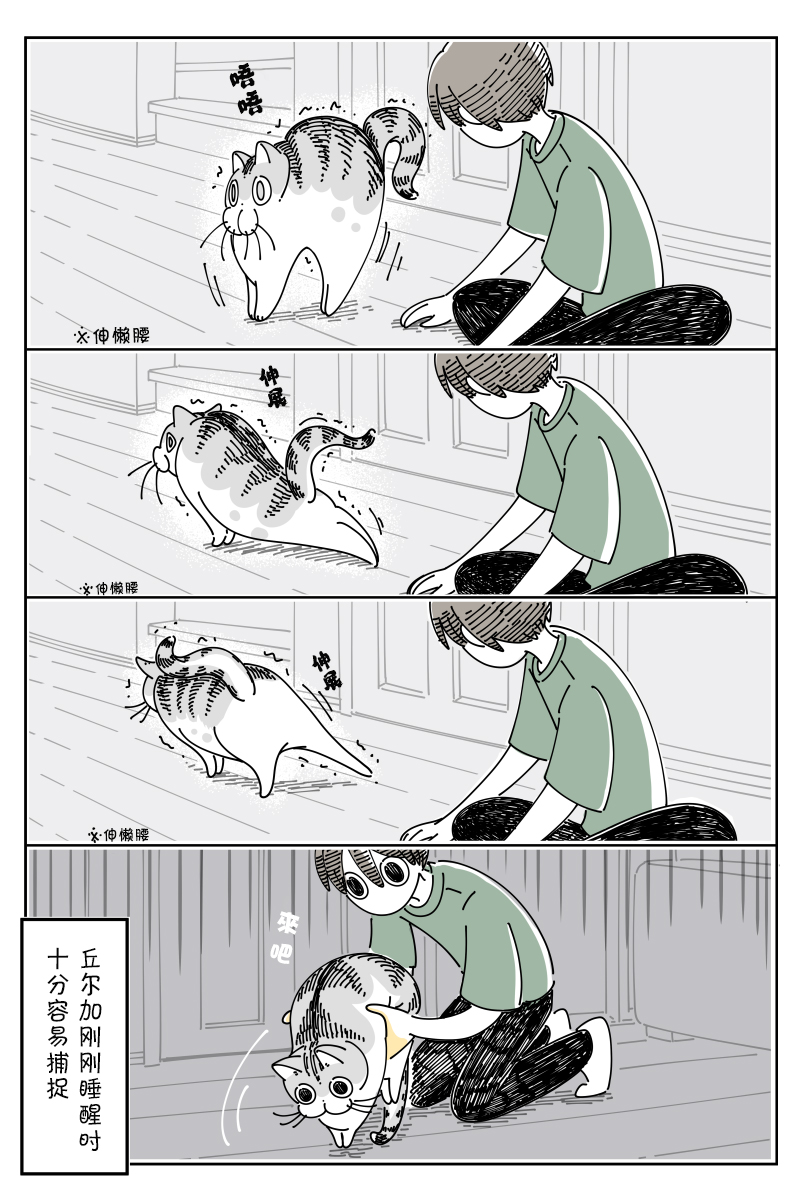 3.jpg