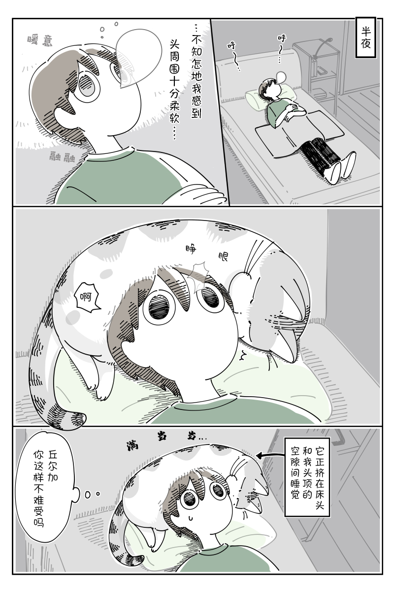 1.jpg