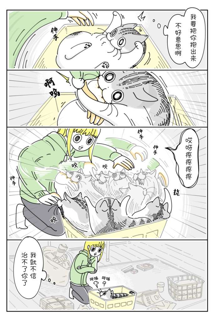 2.jpg