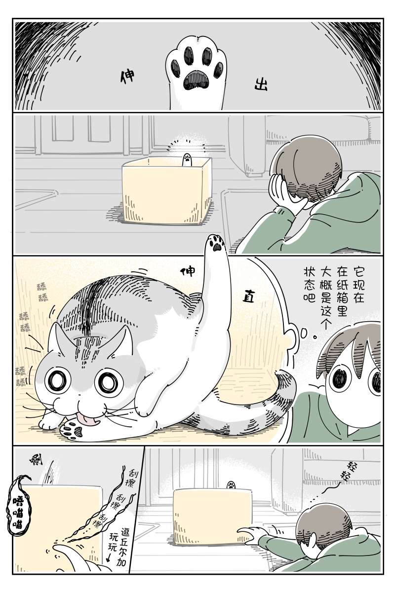 1.jpg