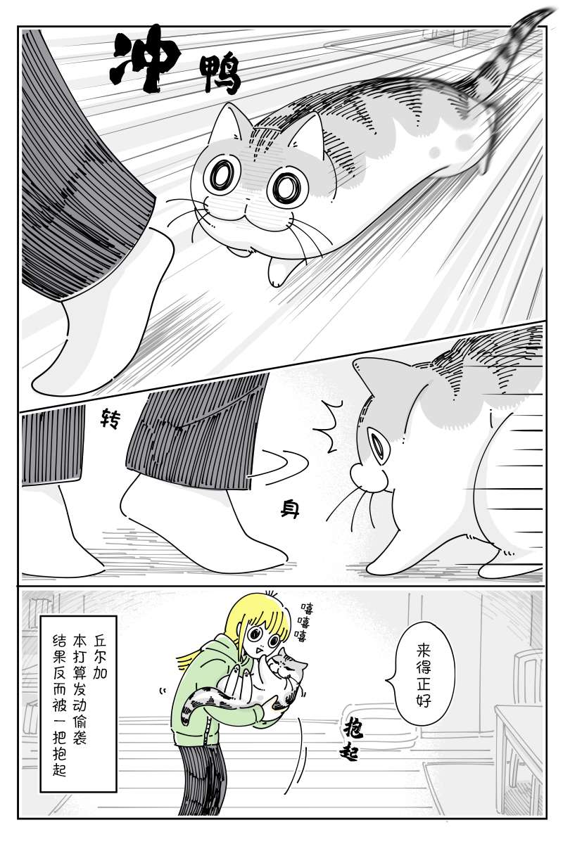 3.jpg